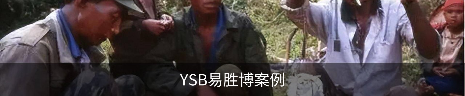 YSB易胜博案例